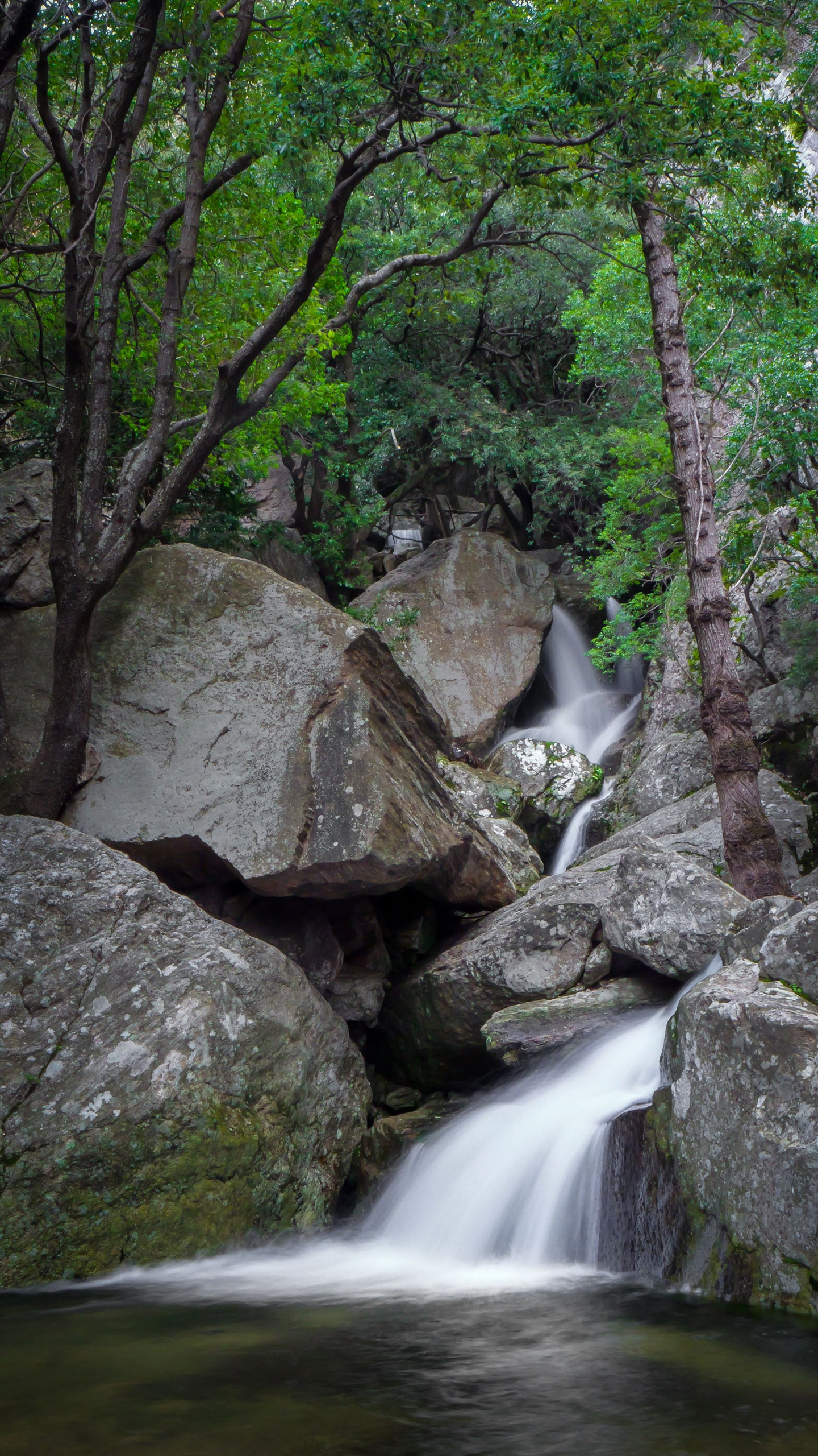 Cours d'eau Le Rieutort dans le Parc naturel régional du Haut-Languedoc