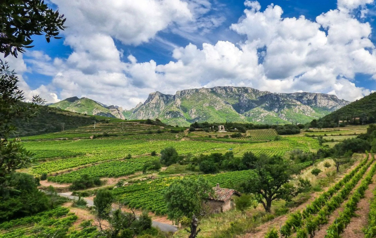 Panorama sur le Caroux dans le Parc naturel régional du Haut-Languedoc