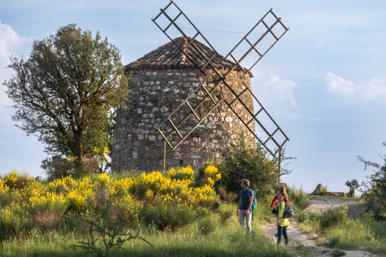 Au cœur d’un ancien domaine viticole, vous apprécierez ce lieu chargé d’histoire au patrimoine préservé.