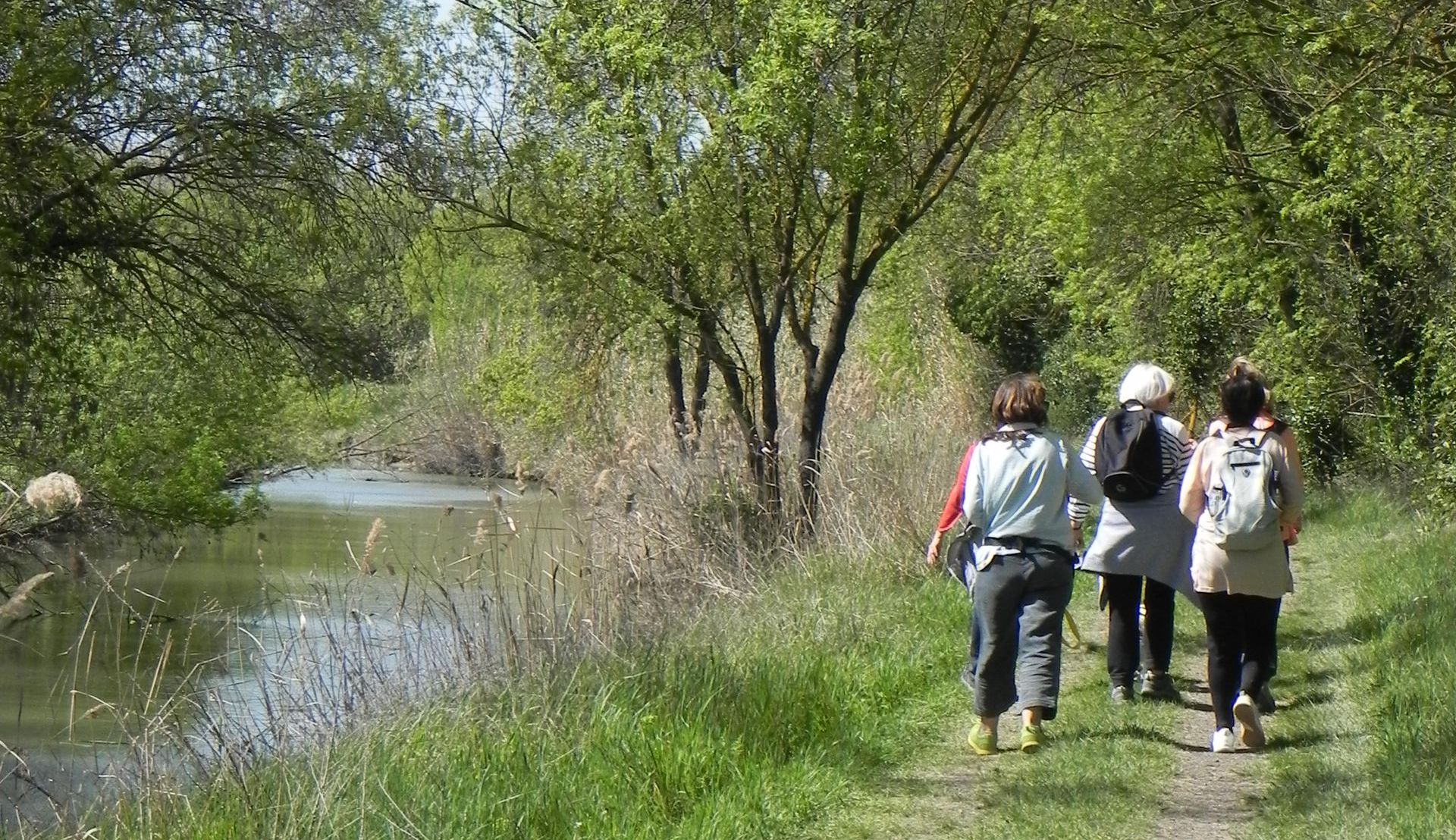 En suivant la boucle Pescalune, les berges du Dardaillon