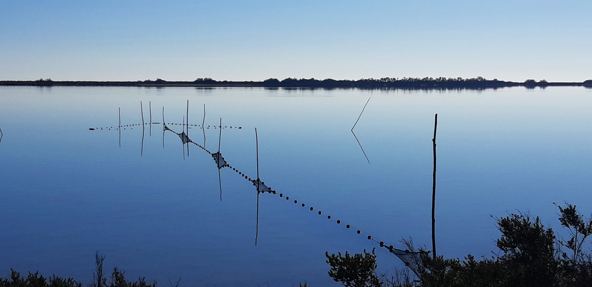 Etangs à Villeneuve-Les-Maguelone