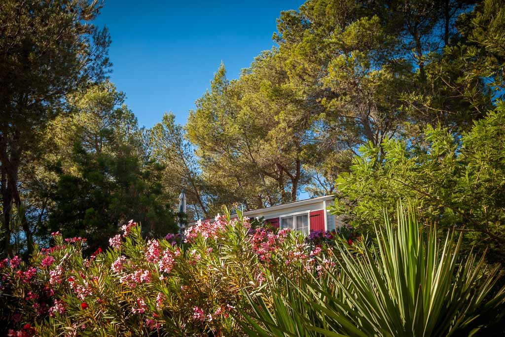 Camping la Pinède****