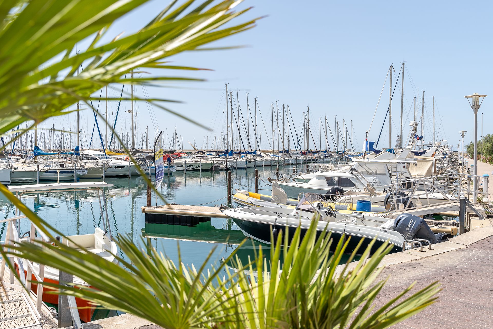 Port de Palavas-Les-Flots